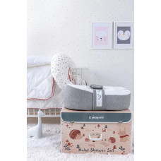 Набор BABY SHOWER SET